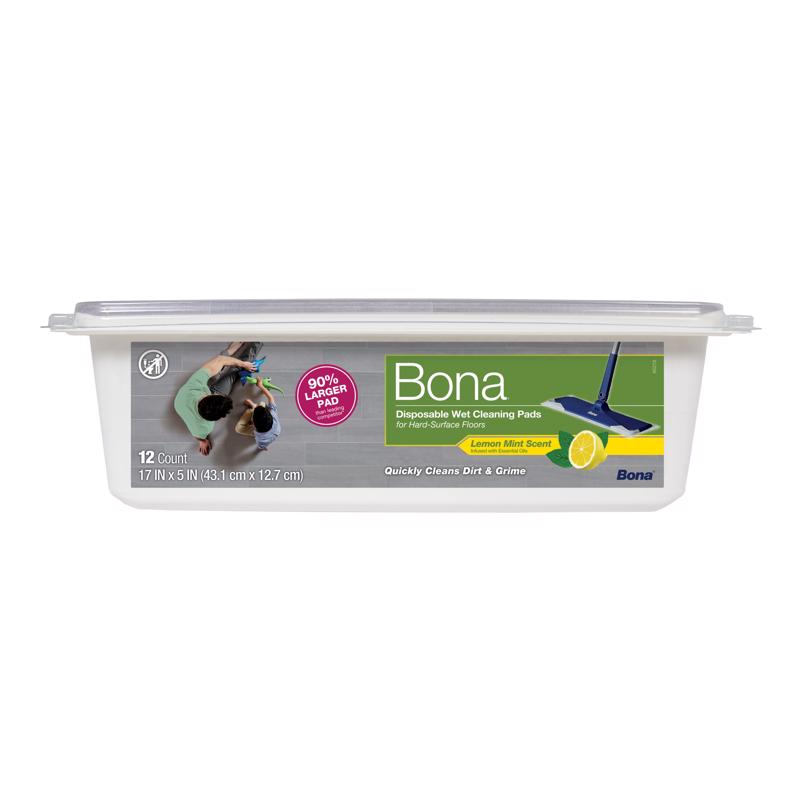 CLEANING WIPES 12PK